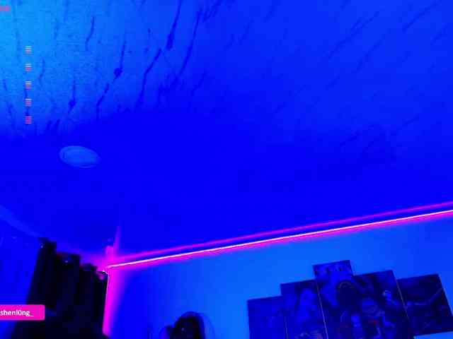 Nicorobin webcam