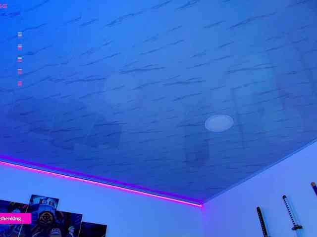 Nicorobin webcam