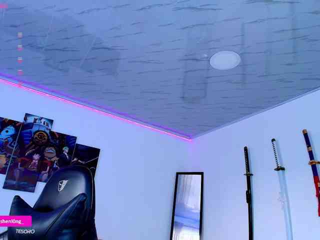 Nicorobin webcam