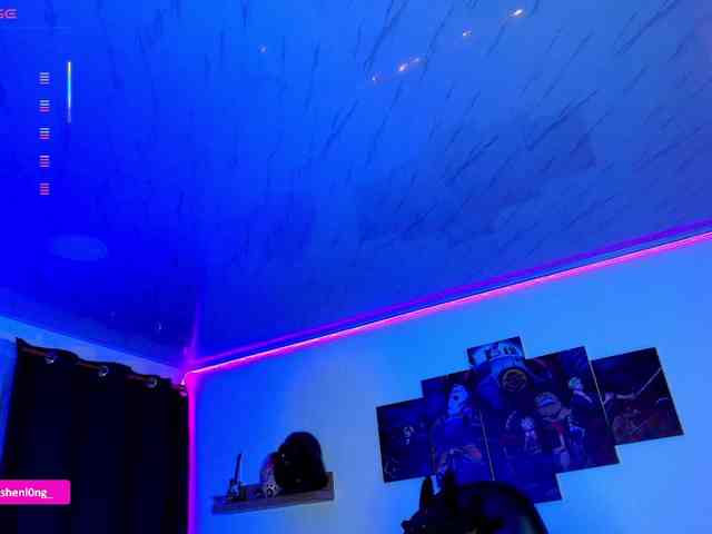 Nicorobin webcam