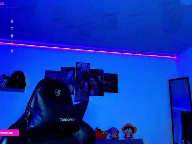 Nicorobin webcam