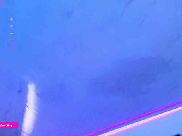 Nicorobin webcam