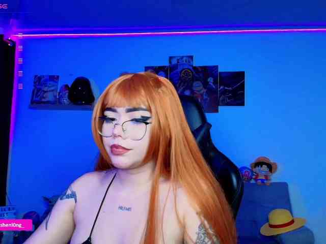 Nicorobin webcam