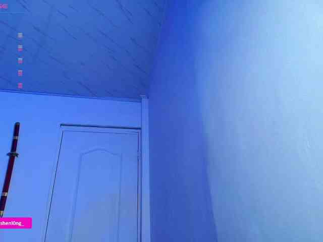 Nicorobin webcam