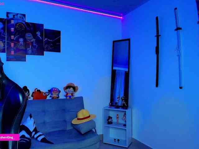 Nicorobin webcam