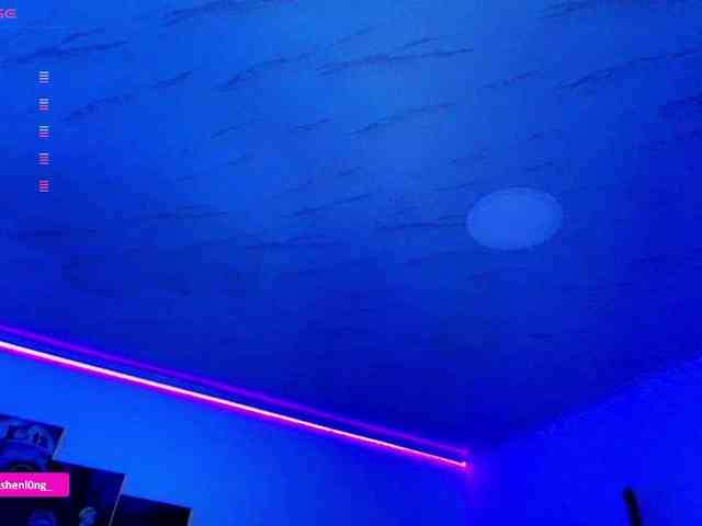 Nicorobin webcam