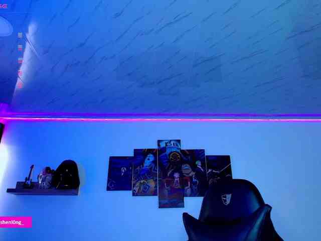Nicorobin webcam