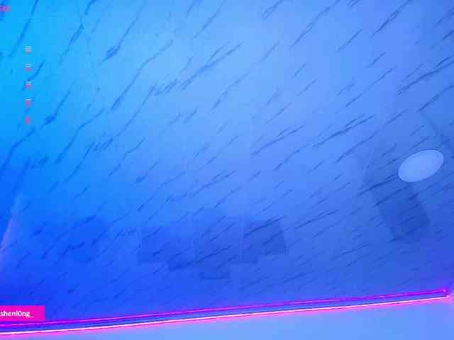 Nicorobin webcam