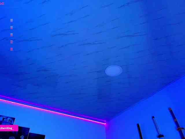 Nicorobin webcam