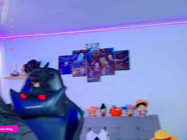Nicorobin webcam