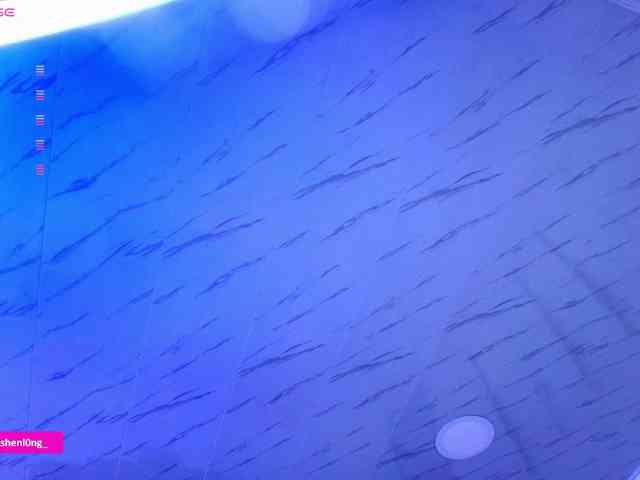 Nicorobin webcam
