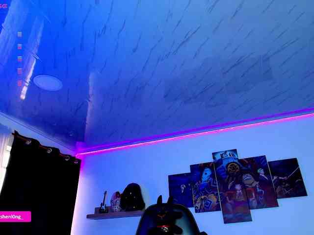 Nicorobin webcam