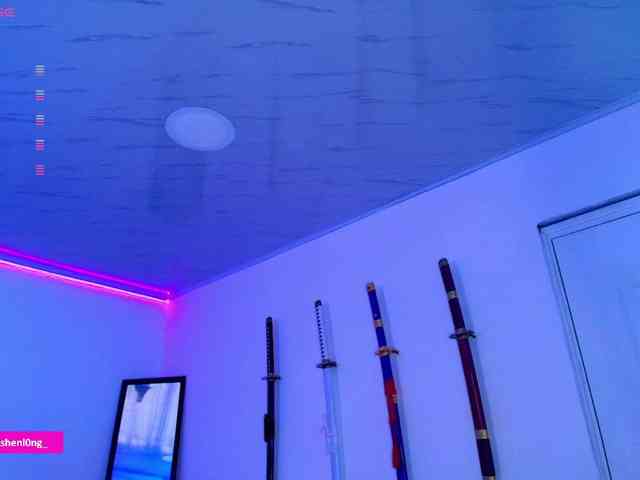 Nicorobin webcam