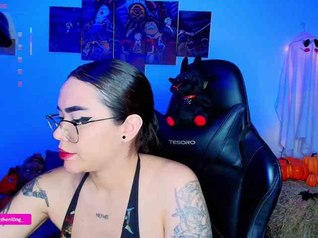 Nicorobin webcam