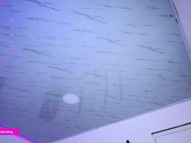 Nicorobin webcam