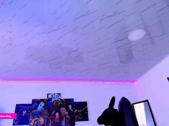 Nicorobin webcam