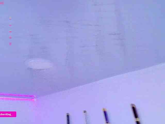 Nicorobin webcam