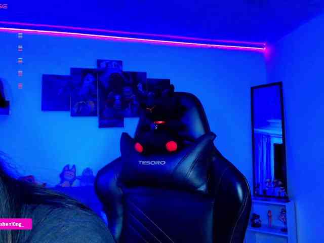 Nicorobin webcam