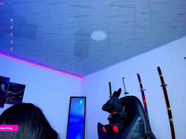 Nicorobin webcam