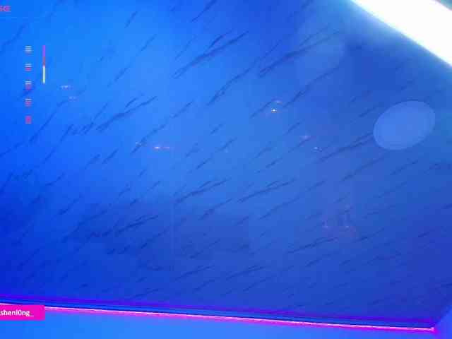 Nicorobin webcam