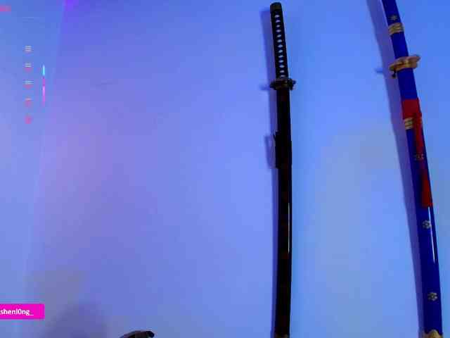 Nicorobin webcam