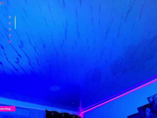 Nicorobin webcam