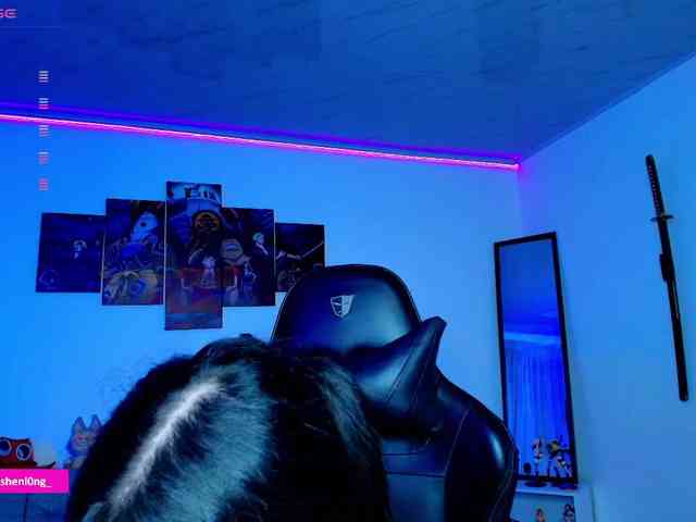 Nicorobin webcam