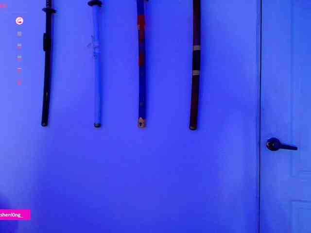 Nicorobin webcam