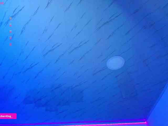 Nicorobin webcam