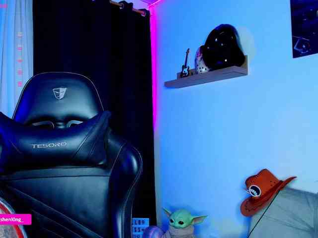 Nicorobin webcam