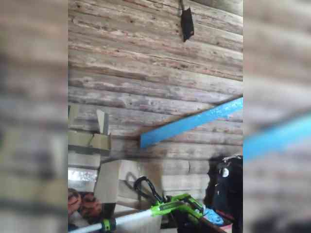 Madam-oss webcam