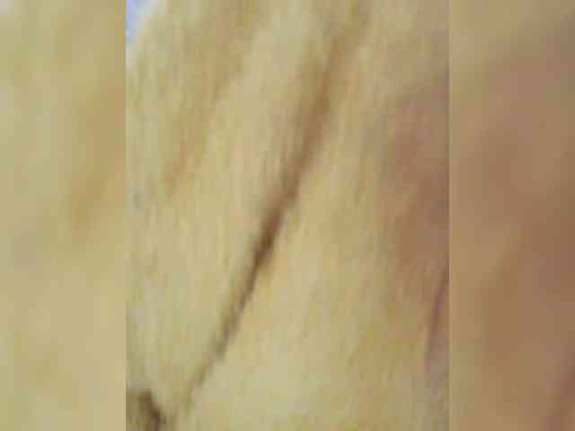 Madam-oss Live Webcam on BongaCams