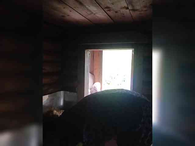 Madam-oss webcam