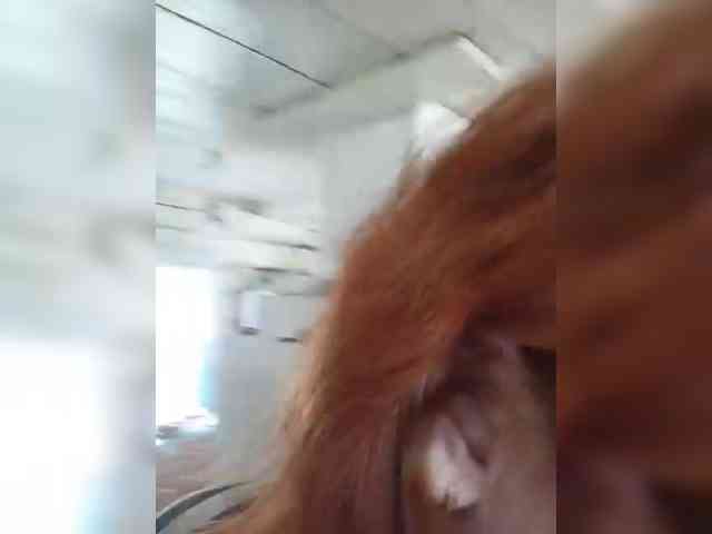 Madam-oss webcam