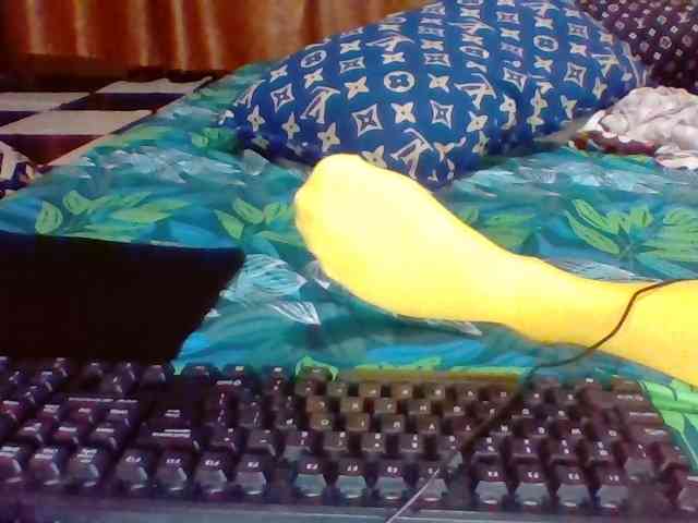 Precious0088 Precious0088