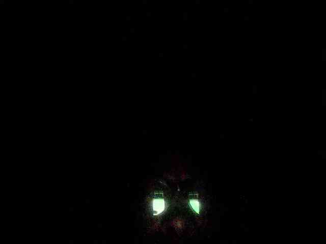 Shizzow38 Live Webcam on BongaCams Shizzow38 Live Webcam on BongaCams