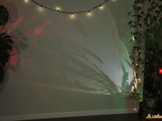 bySOVA's BongaCams show and profile