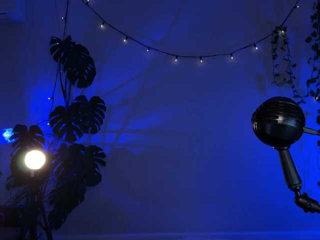 le modèle SOVA_tut est en webcam porno dans un show sur le site bongacams, il possède les tags suivants: White/Caucasian,Blonde,Shaved