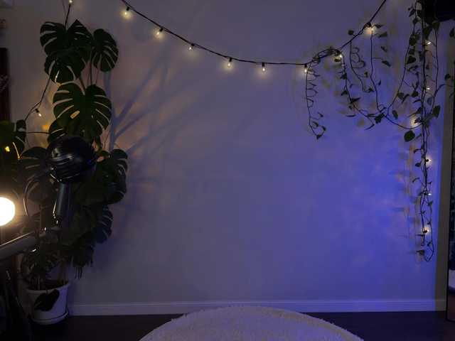 bySOVA's BongaCams show and profile