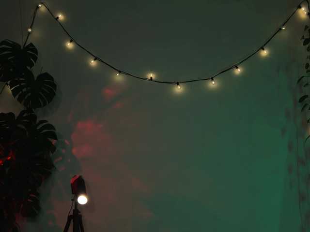 bySOVA's BongaCams show and profile