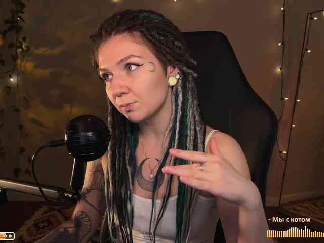 SOVA_tut webcam