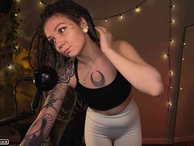 SOVA_tut webcam