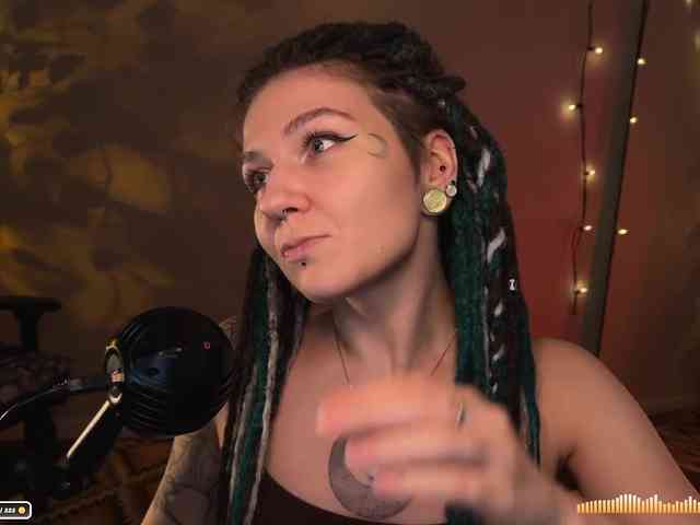 SOVA_tut webcam