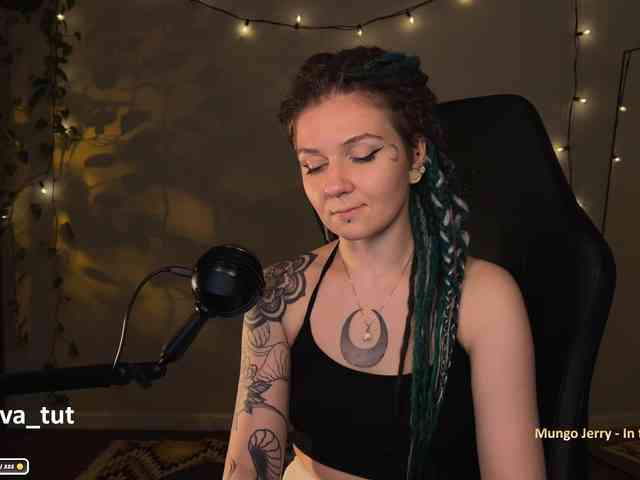 SOVA_tut webcam