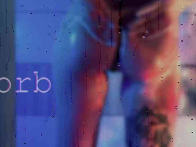 SOVA_tut webcam