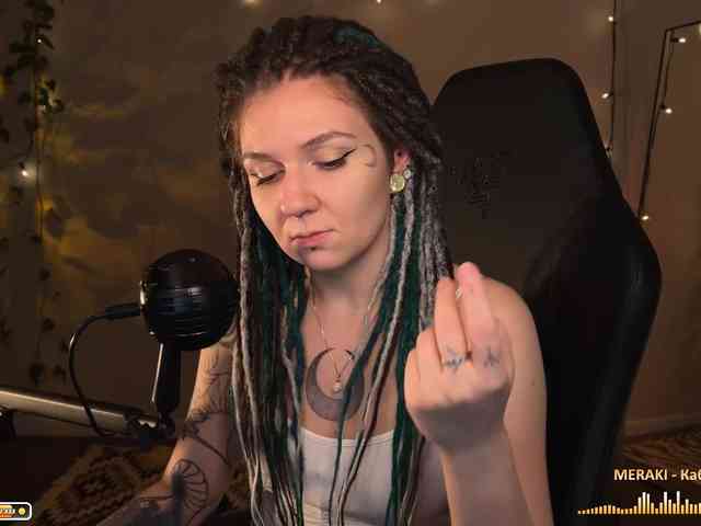SOVA_tut webcam