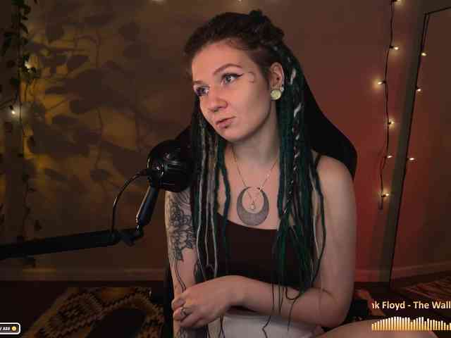 SOVA_tut webcam
