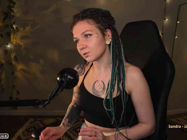 SOVA_tut webcam