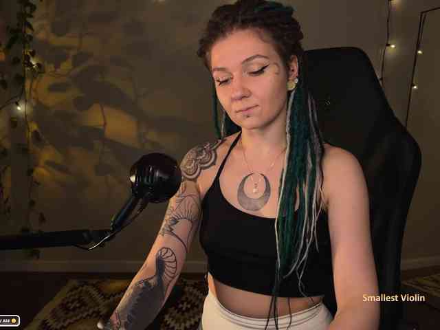 SOVA_tut webcam
