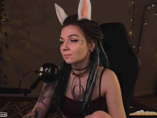 SOVA_tut webcam